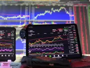 What Matters During Earnings Season?