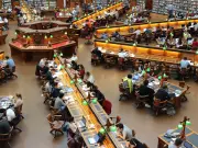 What Exactly Do You Do in Sell-Side Research?