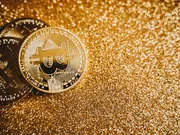 Ask Your Crypto Related Questions